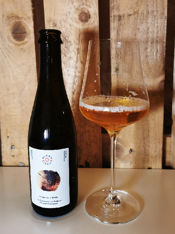 Alefried Saison de la Bède