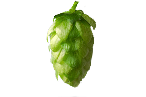 Celeia Hopfen Titel