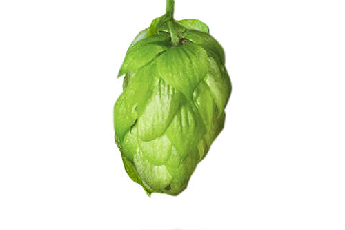 centennial hopfen titel