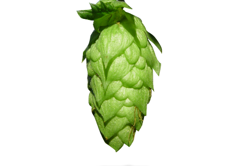 crystal hopfen titel