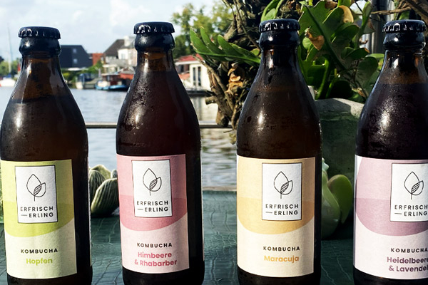 Erfrischerling Kombucha