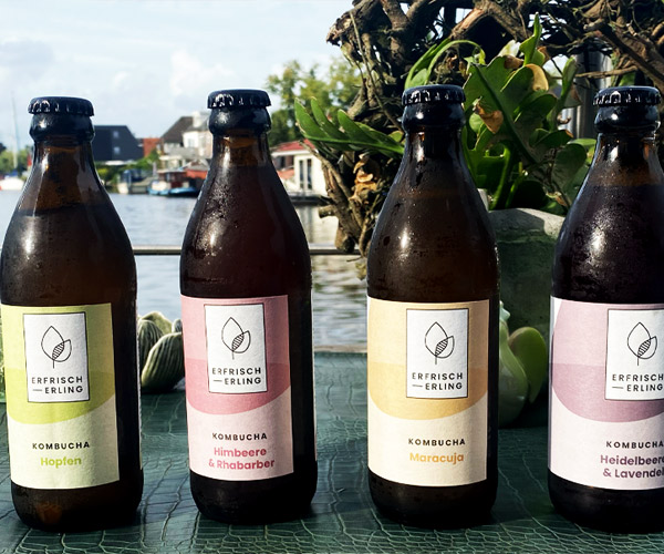Erfrischerling Kombucha