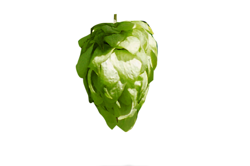 Polaris Hopfen Titel