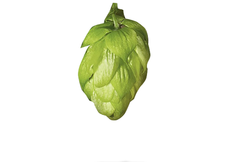 Taurus Hopfen Titel
