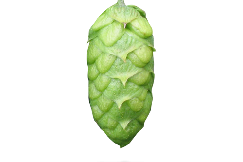 Topaz Hopfen Titel
