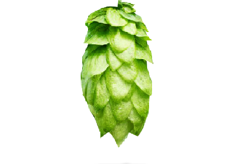 Vic Secret Hopfen titel