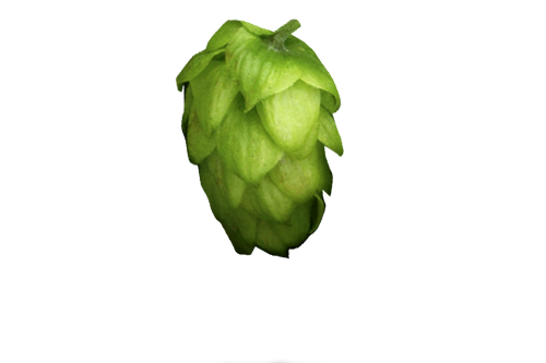 Zythos Hopfen Titel